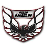 Forza zkanlar