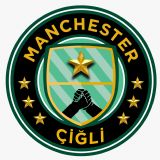 Manchester ili